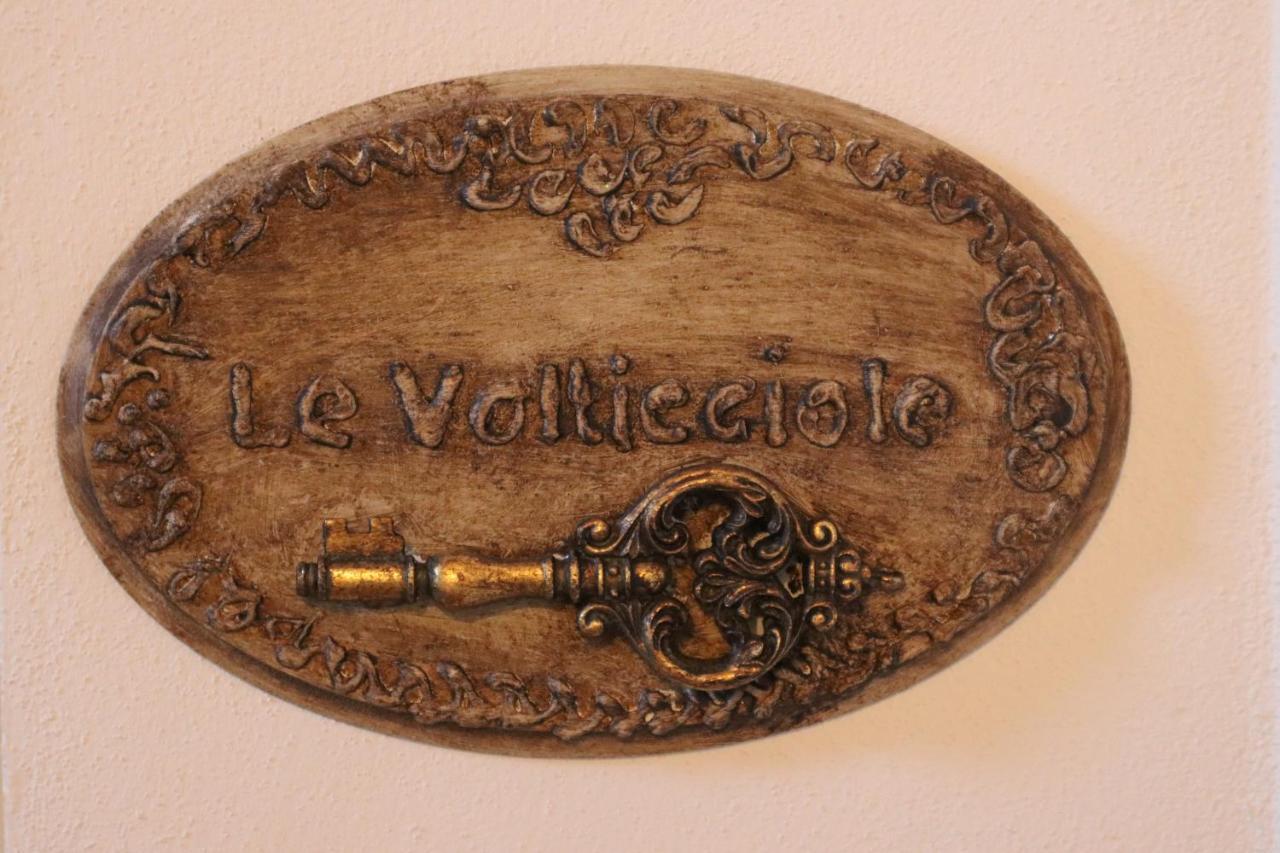 B&B La Taccola Castelnuovo di Val di Cecina Bagian luar foto