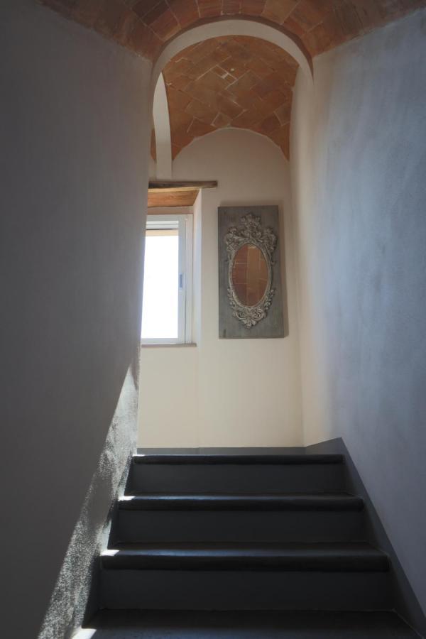 B&B La Taccola Castelnuovo di Val di Cecina Bagian luar foto